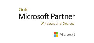 Microsoft Partner logo