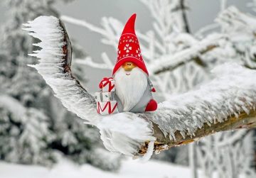 Cute cuddly Santa sitting on snowy tree branch