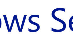 Windows Server 2019 logo